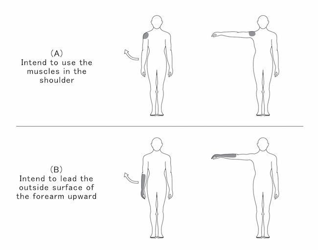 Figure 1 Two different way of raising the arm