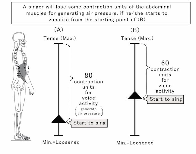 Figure 4 Simplified contraction scale of the abdominal muscles