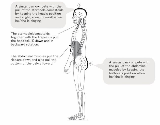 Figure 6 Advantageous postural control in singing